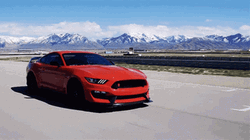 Mustang Ford GT350R GIF