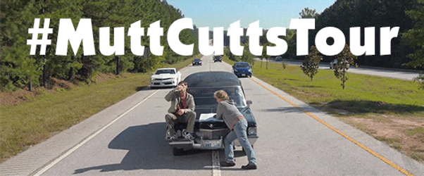 Mutt Cutts Scooter Tour Dumb And Dumber GIF