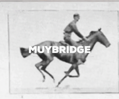 Muybridge Horse Riding Photo GIF