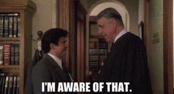 My Cousin Vinny I'm Aware Of That GIF