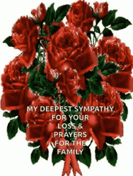 My Deepest Sympathy Roses