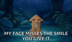 My Face Misses The Smile Lion King Meme GIF