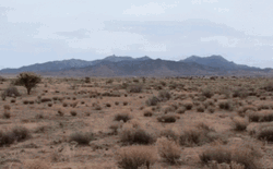 My Feelings For You Desert GIF