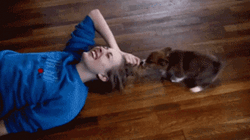 My Hair Pull By My Cat GIF