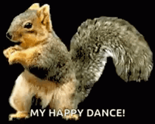 My Happy Dance Squirrel Meme GIF