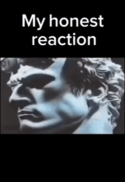 My Honest Reaction GIF