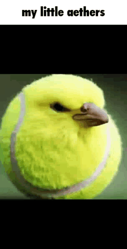 My Little Aethers Tennis Ball Bird GIF