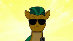 My Little Pony Hitch Trailblazer Dancing Sunglasses