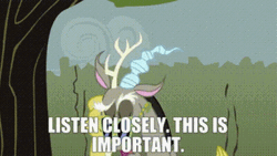 My Little Pony Important GIF