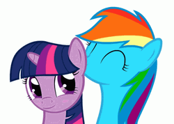 My Little Pony Rainbow Dash Twilight Sparkle Love