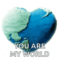 My Love Love Of My Life GIF