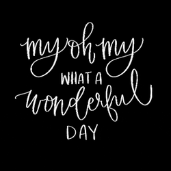 My Oh My What Wonderful Day GIF