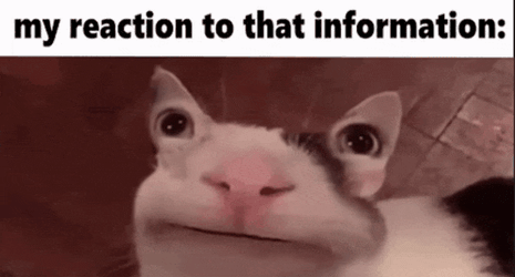 My Reaction To That Information GIF