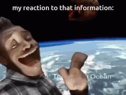 My Reaction To That Information What Meme GIF
