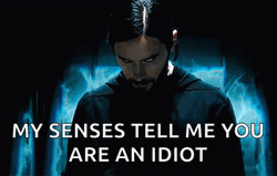 My Senses Tell Me You Are An Idiot  GIF