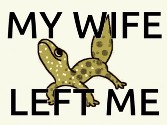 My Wife GIF
