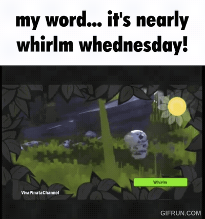 My Word It's Nearly Whirlm Wednesday GIF