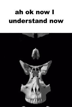 Nah Bruh Ah Ok I Undertand Now GIF