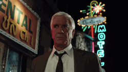 Naked Gun GIF