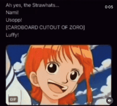 Nami From One Piece Talking To Luffy GIF