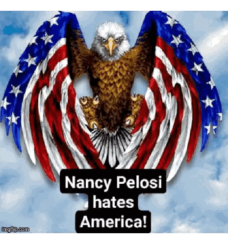 Nancy Pelosi Hates America Bald Eagle Sticker
