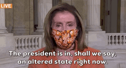 Nancy Pelosi Said The President Is In GIF