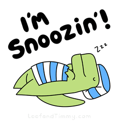 Nap Im Snoozin Turtle GIF