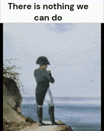 Napoleon Standing On A Cliff Overlooking The Ocean With The Words There Is Nothing We Can Do GIF
