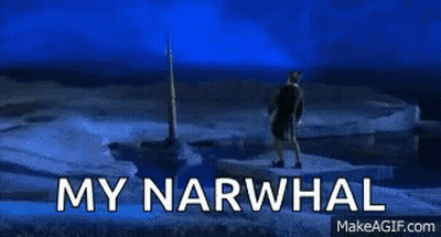 Narwhal Saying My Narwhal GIF