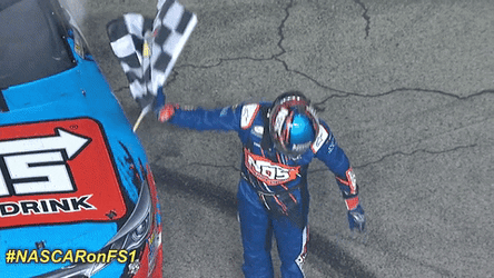 Nascar Car Racing Kyle Busch Flag Win  GIF
