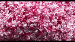 Natalie Portman Dior GIF