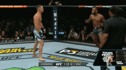 Nate Diaz And Leon Edwards Taunting Each Other GIF