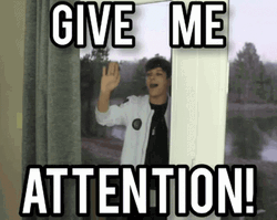 Nathan Triska Give Me Attention GIF