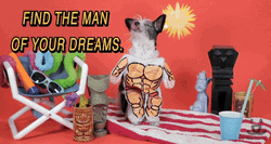 National Dog Day Adopt This Puppy GIF