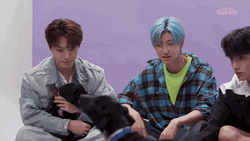 National Dog Day Korean Pop Petting Dogs GIF