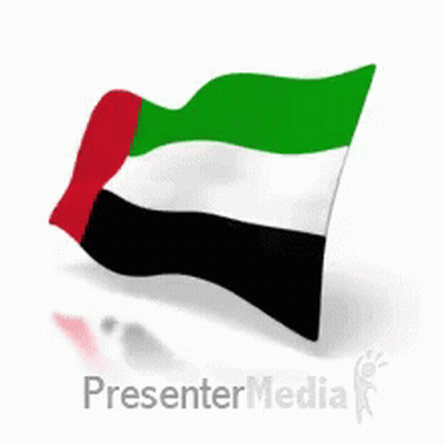 National Emirati Day Flag GIF