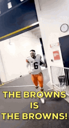 National Football League Brown Noser GIF