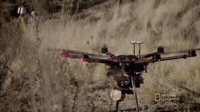 National Geographic Drone Flying In Grass GIF