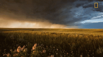 National Geographic Field Stormy Sky GIF