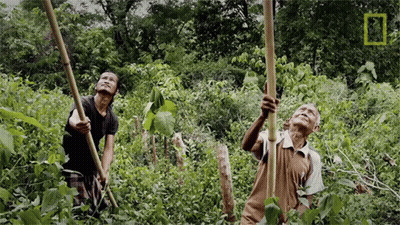National Geographic Logo In Photo Corner GIF
