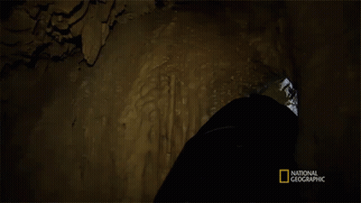 National Geographic Logo On Video Bottom GIF