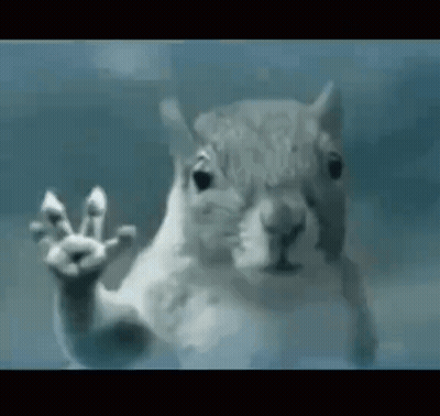 National Geographic Wild Bird Flying In Dark GIF