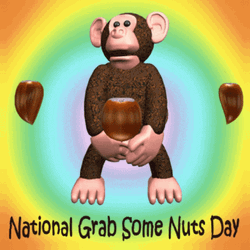 National Grab Some Nuts Day GIF