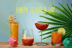 National Happy Tequila Day GIF