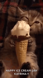 National Ice Cream Day Cat Licking GIF