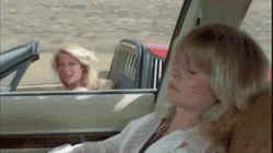 National Lampoon's Vacation Clark Griswold Car Accident GIF