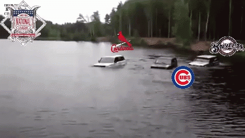 National League Logo On Lake GIF