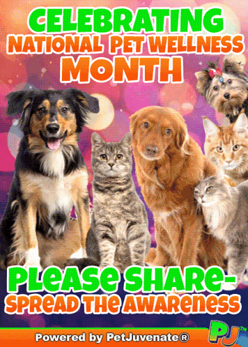 National Pet Wellness Month Poster With Dogs And Cats GIF