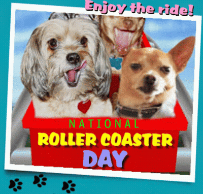 National Roller Coaster Day Happy Roller Coaster Day GIF