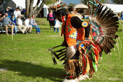 Native American Dance Party GIF